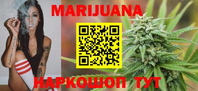 индика Обь