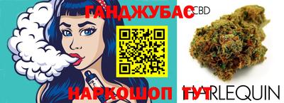 индика Обь