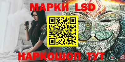 индика Обь
