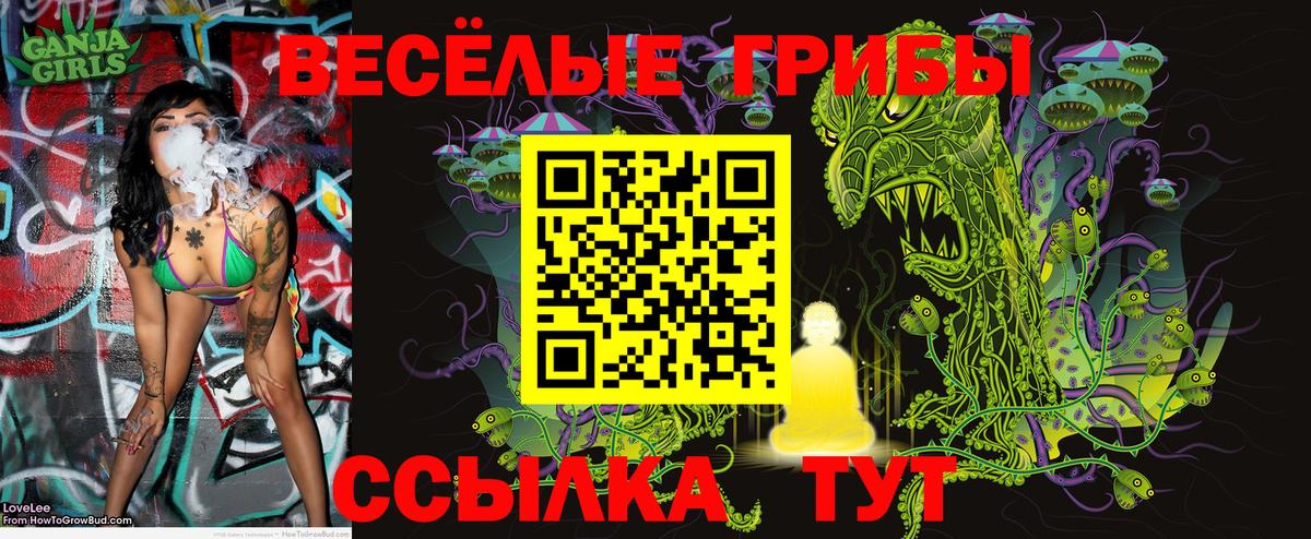 Галлюциногенные грибы прущие грибы Сочи