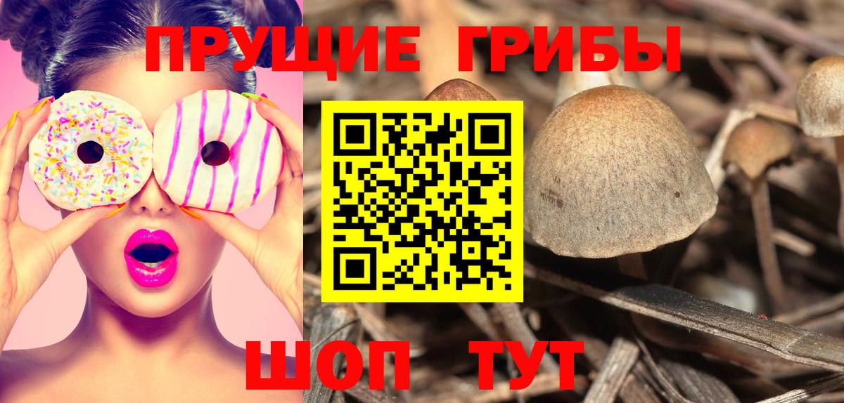 Псилоцибиновые грибы ЛСД  Вход с VPN  Псилоцибиновые грибы Psilocybine cubensis  Сочи 